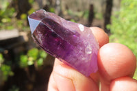 Natural Window Amethyst Crystals x 20 From Chiredzi, Zimbabwe