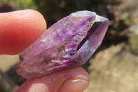 Natural Window Amethyst Crystals x 20 From Chiredzi, Zimbabwe