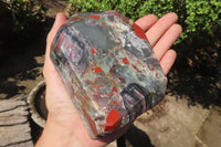 Polished Bloodstone With Pyrite Crystal x 1 From Swaziland