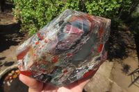 Polished Bloodstone With Pyrite Crystal x 1 From Swaziland