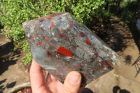 Polished Bloodstone With Pyrite Crystal x 1 From Swaziland