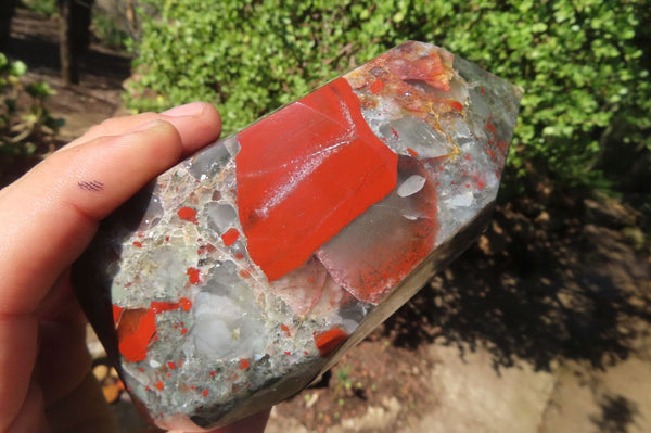 Polished Bloodstone With Pyrite Crystal x 1 From Swaziland