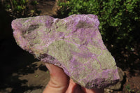 Natural Stichtite Cobbed Specimens x 10 From Barberton, South Africa