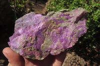 Natural Stichtite Cobbed Specimens x 10 From Barberton, South Africa