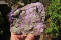 Natural Stichtite Cobbed Specimens x 10 From Barberton, South Africa