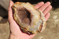 Natural Mixed Zululand Geodes x 3 from Jozini, South Africa