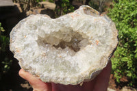 Natural Mixed Zululand Geodes x 3 from Jozini, South Africa