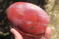 Polished Red Podocarpus Petrified Wood Standing Free Forms x 2 From Madagascar