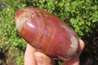 Polished Red Podocarpus Petrified Wood Standing Free Forms x 2 From Madagascar