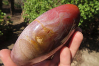 Polished Red Podocarpus Petrified Wood Standing Free Forms x 2 From Madagascar