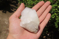 Natural White Quartz Crystal Clusters x 13 From Madagascar