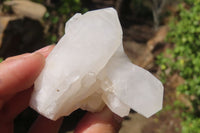 Natural White Quartz Crystal Clusters x 13 From Madagascar