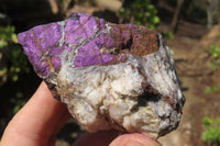 Natural Metallic Purpurite Cobbed Specimens x 12 From Erongo, Namibia