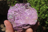 Natural Metallic Purpurite Cobbed Specimens x 12 From Erongo, Namibia