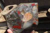 Polished Bloodstone With Pyrite Crystal x 1 From Swaziland