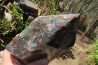 Polished Bloodstone With Pyrite Crystal x 1 From Swaziland