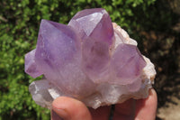 Natural Jacaranda Amethyst Clusters x 2 From Zambia