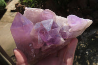 Natural Jacaranda Amethyst Clusters x 2 From Zambia