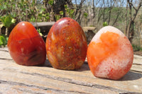 Polished Carnelian Standing Free Forms x 6 From Madagascar