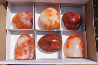 Polished Carnelian Standing Free Forms x 6 From Madagascar