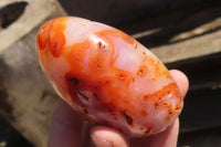 Polished Carnelian Standing Free Forms x 6 From Madagascar