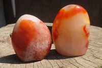 Polished Carnelian Standing Free Forms x 6 From Madagascar