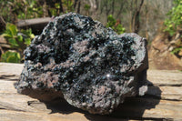 Natural Libethenite Crystals On Dolomite Matrix Specimen x 1 From Shituru, Congo