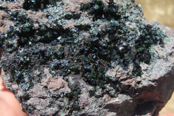 Natural Libethenite Crystals On Dolomite Matrix Specimen x 1 From Shituru, Congo