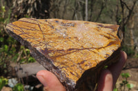 Polished On One Side Nguni Jasper Specimens x 2 From Prieska, South Africa