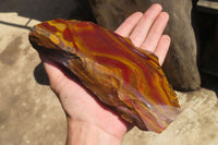 Polished On One Side Nguni Jasper Specimens x 2 From Prieska, South Africa