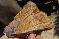 Polished On One Side Nguni Jasper Specimens x 2 From Prieska, South Africa