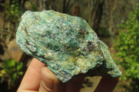 Natural Kyanite In Fuchsite Matrix Specimens x 5 From Zimbabwe