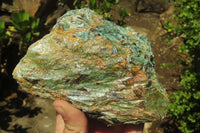 Natural Kyanite In Fuchsite Matrix Specimens x 5 From Zimbabwe