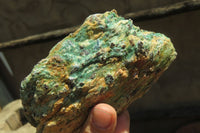 Natural Kyanite In Fuchsite Matrix Specimens x 5 From Zimbabwe