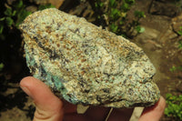 Natural Kyanite In Fuchsite Matrix Specimens x 5 From Zimbabwe