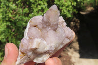 Natural Spirit Quartz Clusters x 6 From Boekenhouthoek, South Africa