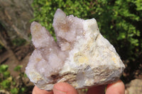 Natural Spirit Quartz Clusters x 6 From Boekenhouthoek, South Africa