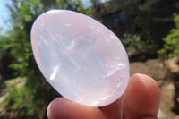 Polished Girasol Rose Quartz Palm Stones x 12 From Madagascar