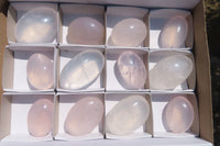 Polished Girasol Rose Quartz Palm Stones x 12 From Madagascar