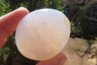 Polished Girasol Rose Quartz Palm Stones x 12 From Madagascar