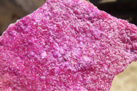 Natural Salrose Cobaltion Dolomite Specimens x 6 From Kakanda, Congo