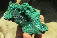 Natural Silky Malachite Specimens x 3 From Kasompe, Congo