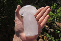 Polished Quartz Mushrooms x 3 From Madagascar