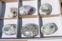 Polished Dendritic Opal Standing Free Forms x 6 From Moralambo, Madagascar