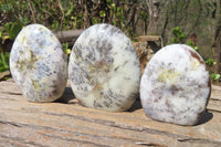 Polished Dendritic Opal Standing Free Forms x 6 From Moralambo, Madagascar