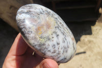 Polished Dendritic Opal Standing Free Forms x 6 From Moralambo, Madagascar