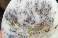 Polished Dendritic Opal Standing Free Forms x 6 From Moralambo, Madagascar