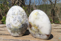 Polished Dendritic Opal Standing Free Forms x 6 From Moralambo, Madagascar