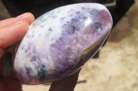 Polished Dendritic Opal Standing Free Forms x 6 From Moralambo, Madagascar