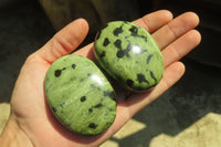 Polished Leopard Stone Palm Stones x 12 From Nyanga, Zimbabwe